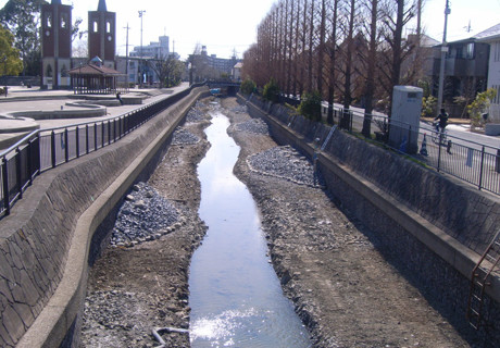 22南葛第303号逆川護岸工事