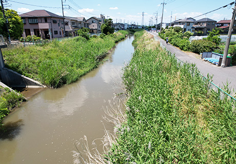 河川改修事業(国庫)工事(擁壁護岸工その5)