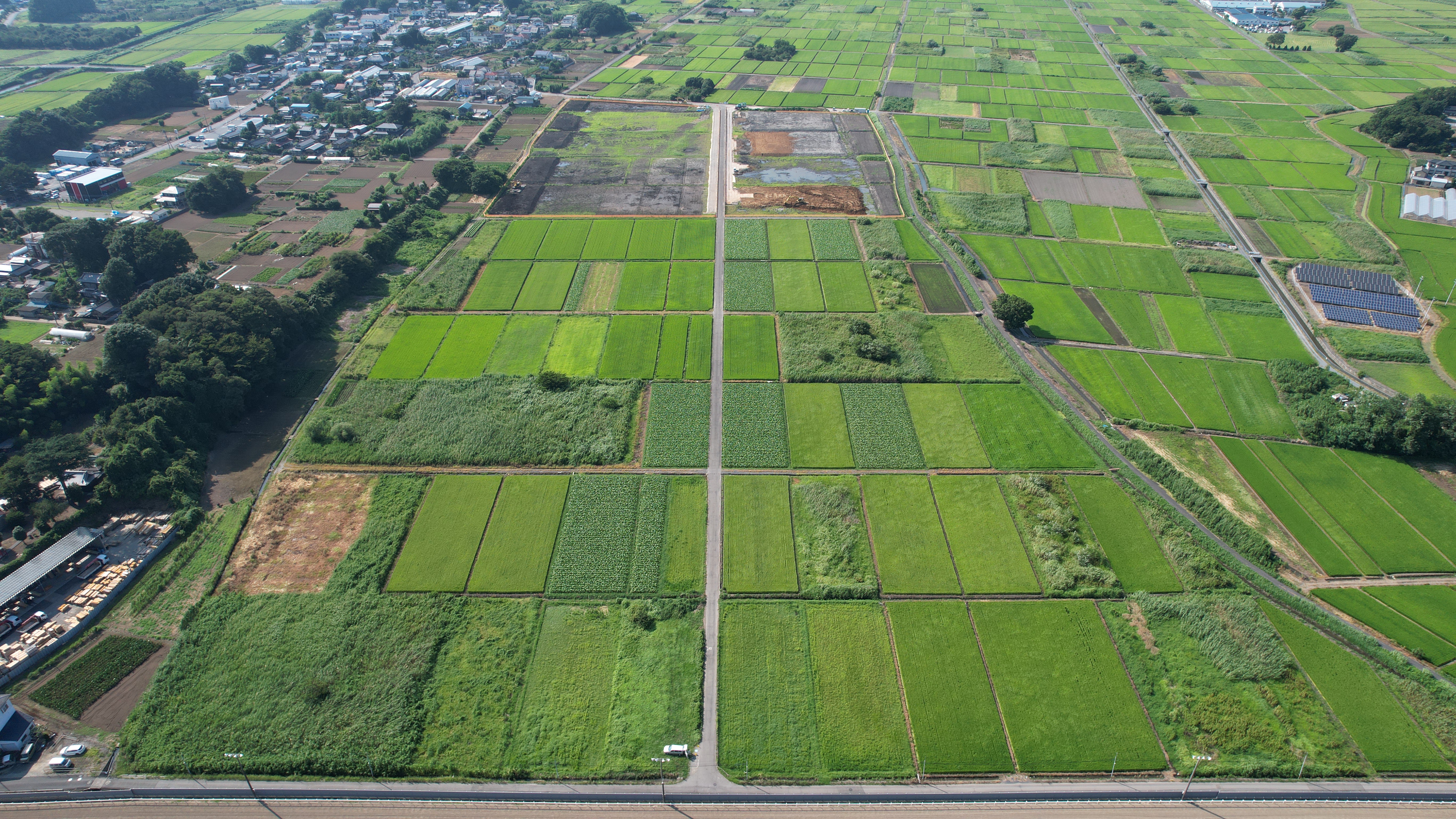 総I除）４さい中第204号ほ場整備工事