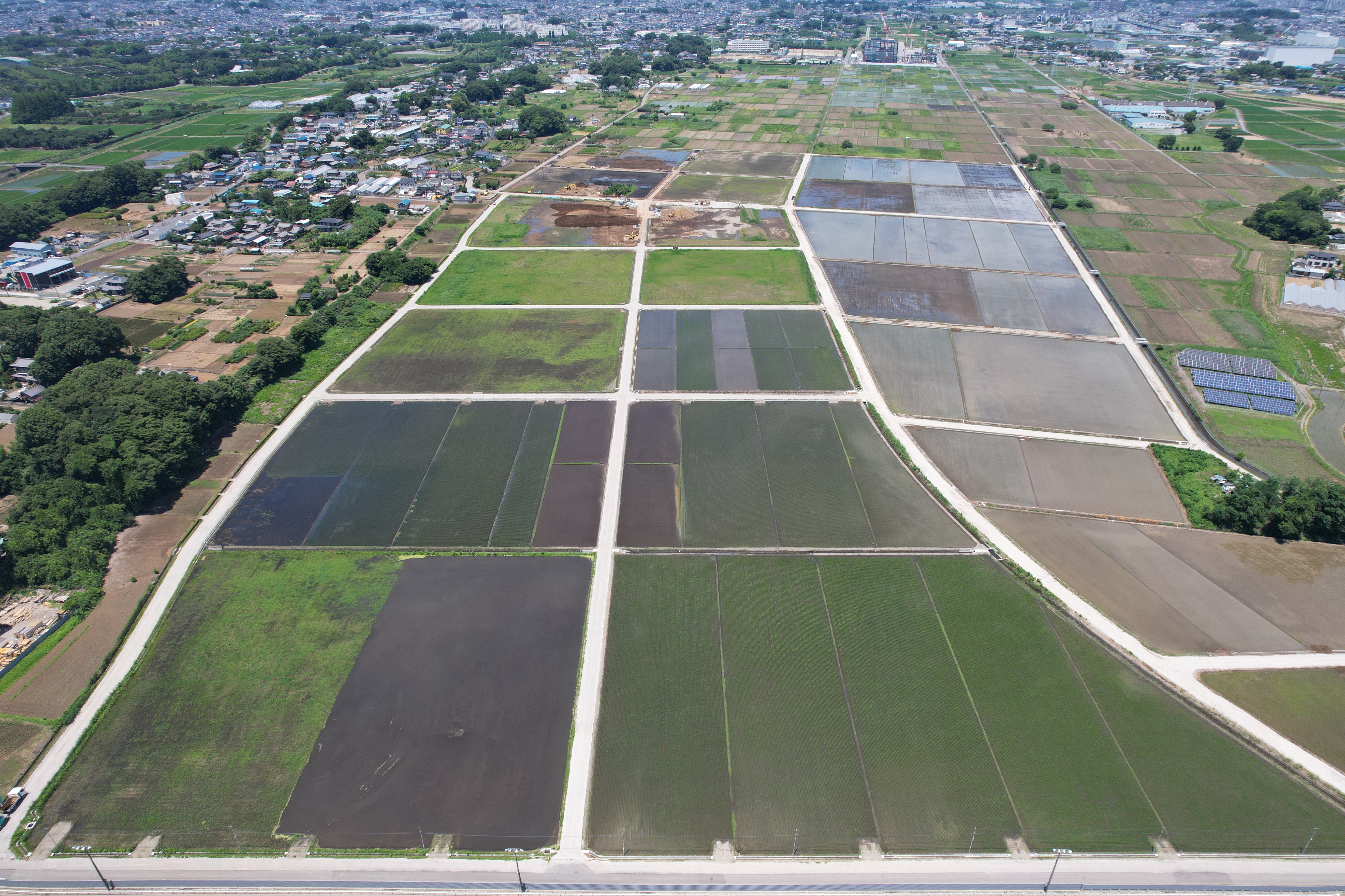 総I除）４さい中第204号ほ場整備工事