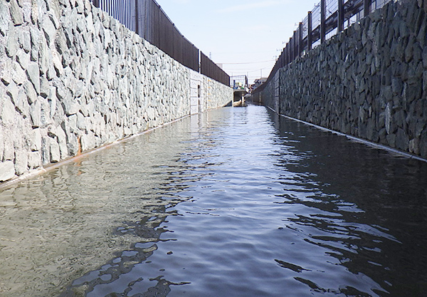かんがい排水等整備工事（３１－１）