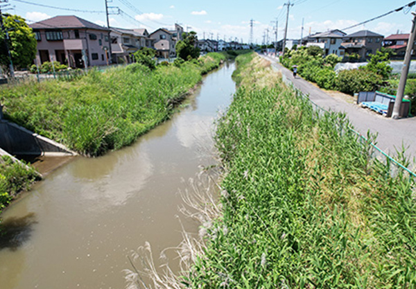 河川改修事業（国庫）工事（擁壁護岸工その５）