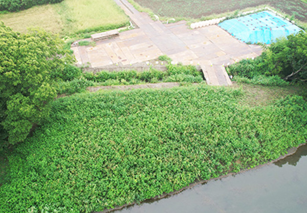 社資（河川）工事（綾瀬川樋管築堤工）