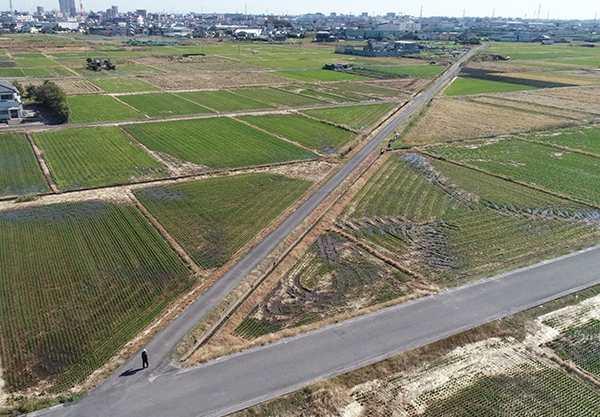 １越谷第１０１号農地耕作条件改善工事